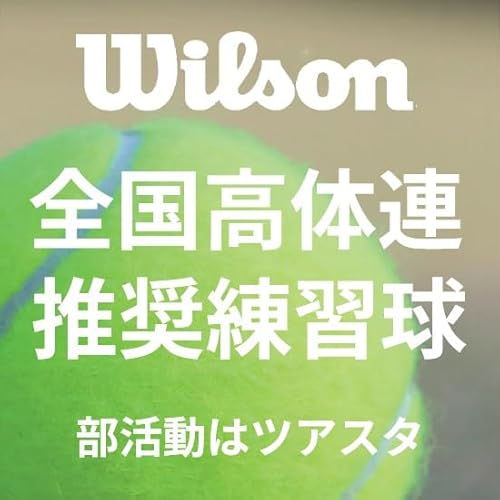 Wilson 硬式テニスボール TOUR STANDARD WRT103800