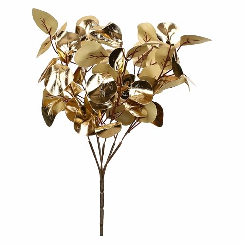 rituali domestici Kurzer Zweig Eukalyptus