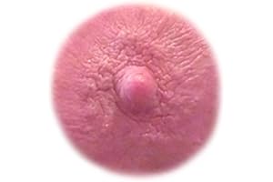 Temporary Realistic Nipple and Areola Tattoos
