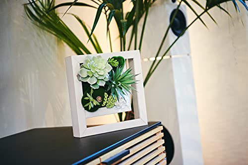 Room & Bloom Artificial Succulent Wall Art Flower Decor Kitchen Decorations Lounge Room Dining Room Picture 3D Living Room Floral Framed Fake Faux Hanging Succulents House Decor Green Hanger 10" X 10" #TOP3