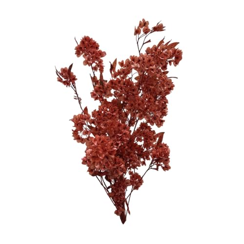 Baoblaze Ramo de Flores secas Dodonaea Viscosa decoración del hogar arreglos de Flores secas Paquete de Flores secas para jarrón Mesa Boda Cocina, Cereza