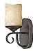 Hinkley 4010OL Casa - 1 Light Wall Sconce, Olde Black Finish with Antique Scavo Glass
