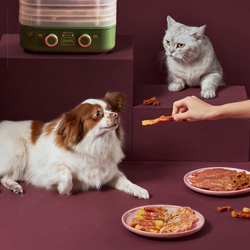 Desidratador de Alimentos com Temporizador Digital Ajustável e Controle de Temperatura Preservador E