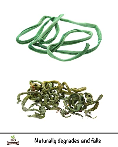 Biostretch Extra Wide Tree Ties And Large Plant String | Environmentally Smart Soft Green Plant Support And Garden Twine (Bio Extra Wide 26 Ft / 8M) #TOP2