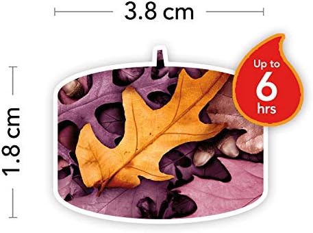 Yankee Candle Podgrzewacze zapachowe | Autumn Glow | 12 sztuk