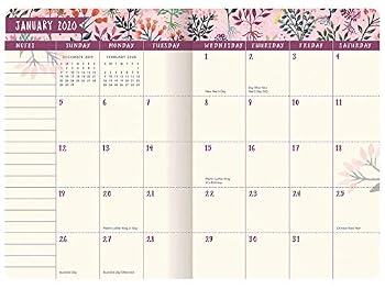Orange Circle Studio 2020 Monthly Pocket Planner, August 2019 - December 2020, Stay Magical