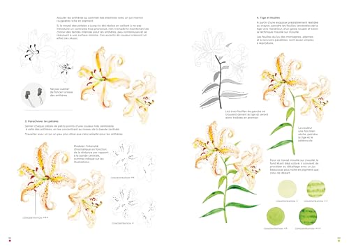 Leçons d'aquarelle japonaise - Techniques pour peindre fleurs et plantes – vue 6