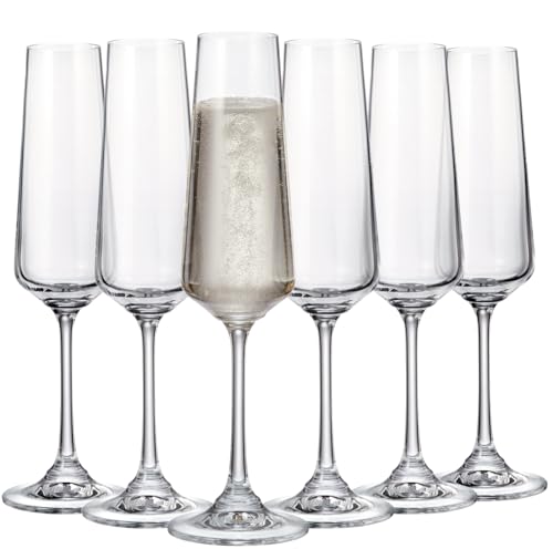 CRYSTAL BOHEMIA NOMIA Lead-Free Champagne Flutes Set of 6, 5 oz Stemmed