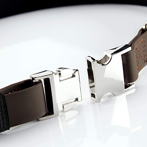 PetTec Collare per Cani, Edizione Sottile, in