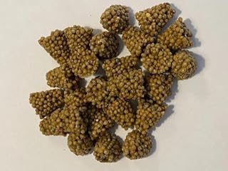 plant bleaching for balcony and terrace plants 40 tablets 210 days nutrients 100% herbal