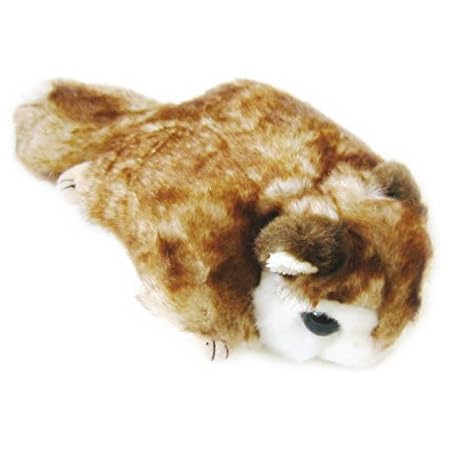 Amazon モモンガ S ぬいぐるみ おもちゃ