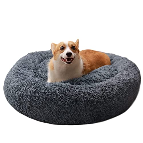 Bibykivn Cama para Mascotas, Cama para Gatos, Camas de Gato Perros de Donut con Parte Inferior Antideslizante, Cómoda y Lavable Cama de Gato para Gatos Perros Pequeños y Medianos (70×70CM,Gris oscuro)