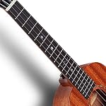 Enya EUC-MAD Concert Ukulele Solid Gloss Mahogany Original Color 23 Inch with High-end 15mm Padded Gig Bag
