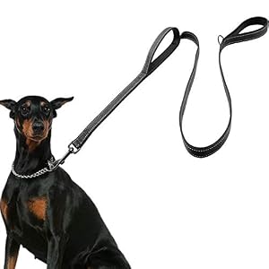 AVANA Guinzaglio per Cani con Guida Corta Integrata, Due Passanti Imbottiti per le Mani, Lunghezza 1,5 m, per Cani di Taglia Grande e Media – Nero