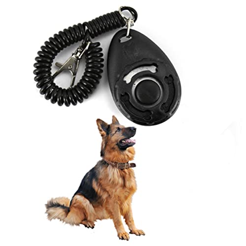 Expert Tips for Clicker Training