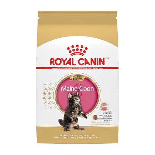 Royal Canin Feline Breed Nutrition Maine Coon Kitten Dry Cat Food, 3 lb