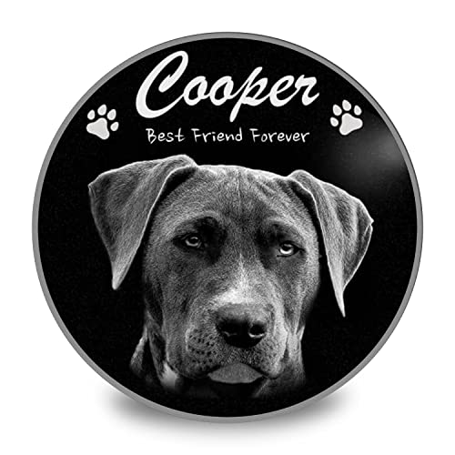ADFSTONE Pet Memorial Stones Personalizados Regalos de Recuerdo del Perro, Imagen Personalizada del Gato Placa de Duelo, lápida de Bricolaje, Regalo de Foto de simpatía Personalizada(5" X5 x0.4)