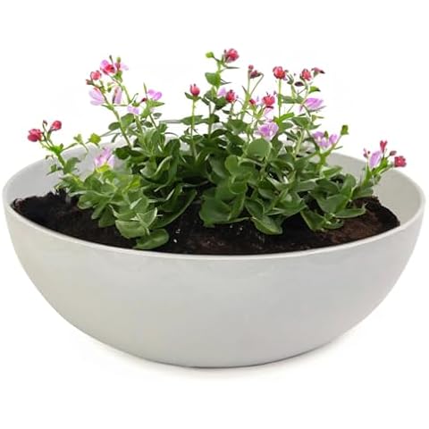 matches21 Vintage Decorative Plant Bowl Cover