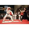 The Karate Kid 5-Movie Collection (The Karate Kid / The Karate Kid (Part 2) / The Karate Kid (Part 3) / The Next Karate Kid / Karate Kid)