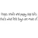 Frogs Snails and Puppy Dog Tails, That's What Little Boys Are Made Of Large Nursery Wall Decals Vinyl Wall Quote Nursery Wall Decor Boys Room