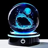 YWHL 80 Ball- Moon Dolphin-HYC