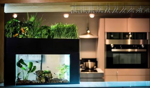 AquaSprouts Aquaponics Garden, Kit De Ecossistema Hidropônico Para Aquário De Mesa Autossustentável,
