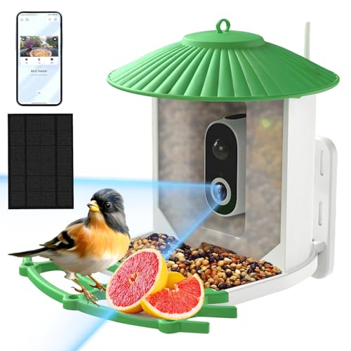 best smart bird feeders