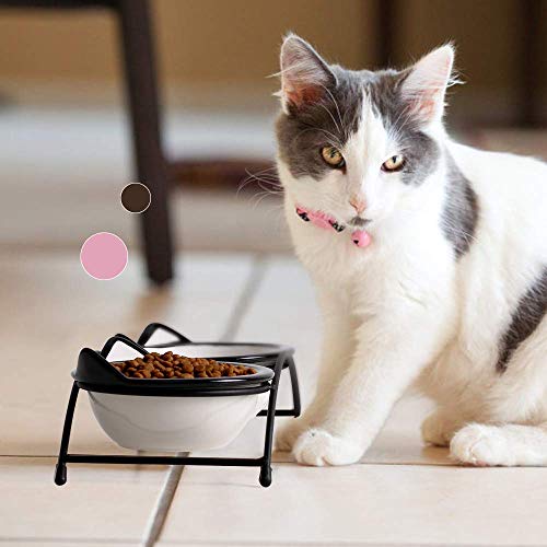 Y Yhy Cat Food Bowls, Raised Cat Bowls For Food And Water,Ceramic Elevated Pet Dishes Bowls With Stand,12 Oz Cats And Small Dogs Bowls,Dishwasher Safe #TOP4