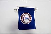 Vista 160 de Guatemala 19.7 ft BUNTING Flag 20 banderas 9'' x 6'' - Banderas de cuerda guatemalteca 5.9 x 8.3 in - AZ FLAG