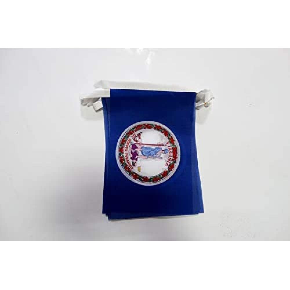 AZ FLAG Virginia Bunting 20 ft 20 flags Light Polyester
