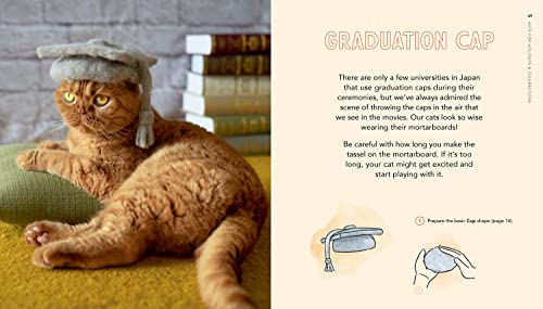 Cats in Hats: Make Cat-hair Headgear for Your Feline Friends