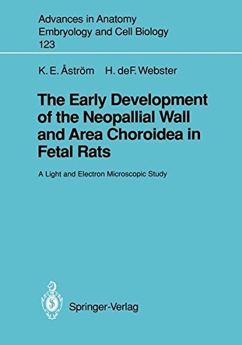 The Early Development of the Neopallial Wall and Area Choroidea in Fetal Rats: A Light and Electron Microscopic Study (Advances in Anatomy, Embryology and Cell Biology Book 123) (English Edition)