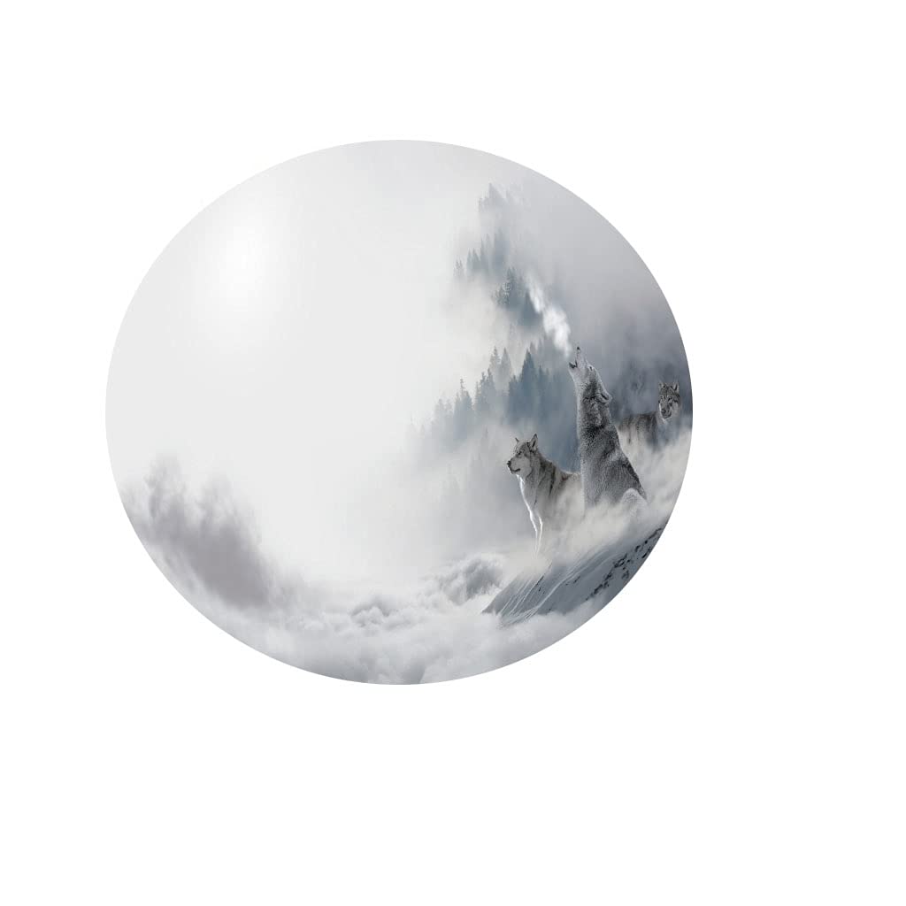 FANSU 3D Nappe Ronde Impermeable, Animal Impression Nappe En Polyester Antifouling Nappe De Table Pour Extérieur Ou Intérieur Table De Salle à Mange (Loup Blanc,170cm