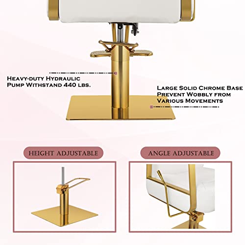 Luxmars Reclining Barber Chair Salon Chair Rolling Swivel Hair Stylist Hydraulic For Hair Salon 360 Degrees Tattoo Salon Beauty Spa Chair Styling Equipment - White #TOP6