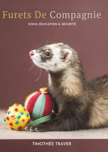 Furets De Compagnie: Soins, Éducation & Sécurité