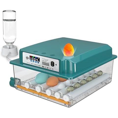 CoInceptus 16 Egg Incubator, Incubator for Chicken Eggs, Guail Eggs, Automatic Egg Turning, Humidification, Incubators for Hatching Eggs, Egg Hatching Incubator with Egg Candler Cover
