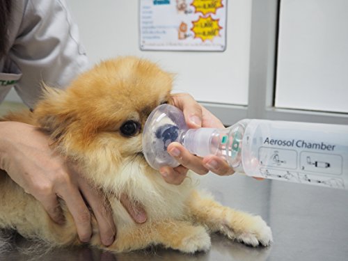 Dog Aerosol Chamber (3 Masks) -Canine Inhaler Spacer For Dog Asthma, Chronic Bronchitis, Tracheal Collapse – Include 3 Masks To Fit All Dogs #TOP6
