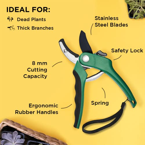 Nevlers 8" Anvil Pruning Shears For Gardening | Garden Clippers With Stainless Steel Blades & 8Mm Cutting Capacity | Heavy Duty Gardening Tools | Hand Pruners For Gardening | Green Garden Pruners #TOP2