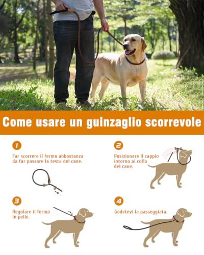 Image of 2 Pack Dog Leash Slip Lead Braided Rope Pet Training Loop Leashes 6ft 8ft