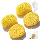 Drywall Texture Repair Kit, 4 Knockdown Texture SpongesandGloves, for DIY Wall & Ceiling Patch, Matching Orange Peel & Splatter Texture