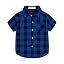 Plaid Blue