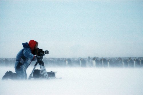 Planet Earth: The Making Of An Epic Series #TOP5