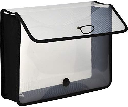 Lion Expand-N-File Poly Expanding Wallet, Letter (9-1/2 inch x 12 inch), 3 inch Gusset, Clear, 1 Wallet (48160-CR)
