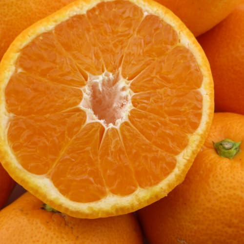 c ݂ Lc݂ ԏG a̎RY 2kg ʕ t[c  TCYsiS`LTCYj p