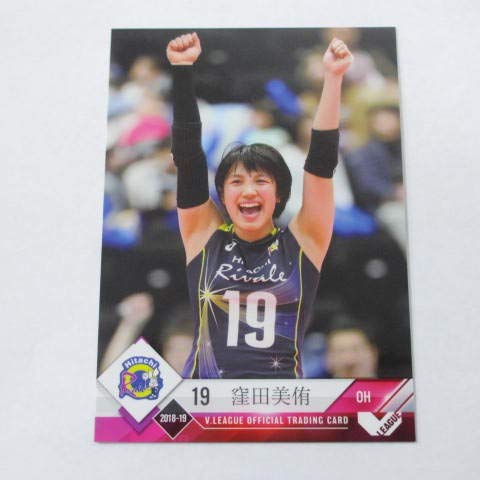Vプレミアリーグ女子　直筆サイン入り　ポスター　抽選当選品　女子バレー Vプレミアリーグ女子 直筆サイン入り ポスター 抽選当選品 女子