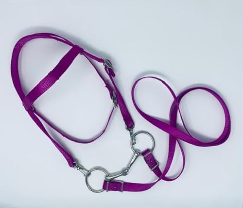 Party Ponies Miniature Horse/Small Pony Complete Nylon Bridle with BIT Raspberry Pink