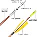 surwolf 31Inch Carbon Arrow Practice Target Arrows with 4