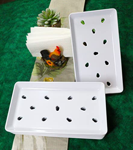 Ebros Gift Japanese Raw Food Preparation And Storage White Neta Zara Melamine Sushi Sashimi Chef Serving Plate With Drip Holes For Sushi Case 8.75" L X 5" W Restaurant Supply (Pack Of 8) #TOP7