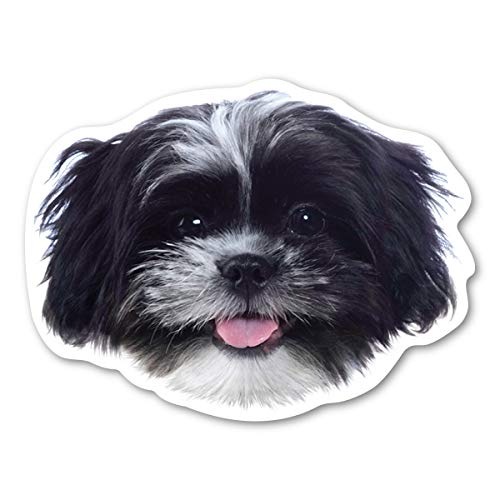 Imán Decorativo Magnet America Shih Tzu Blanco y Negro miniatura 1