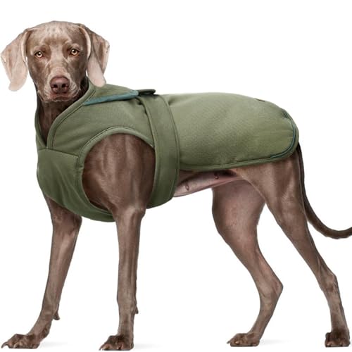 Kuoser Army Green Dog Winter Coat, X-Large, Water-Resistant, Fleece, Hooded Neck, Elastic, Hook, Zipper, Cotton, Comfortable, Leash Hole, Reflective, for Medium Breeds X-Large (Pack of 1) Ar